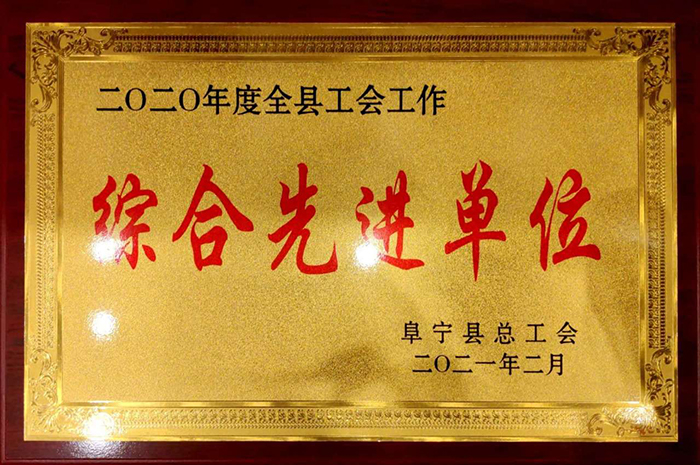 综合先进单位 700.jpg